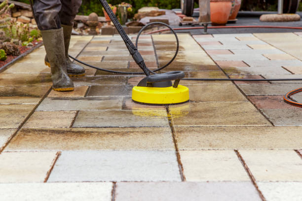 Best Pre-Holiday Cleaning  in Burkesville, KY