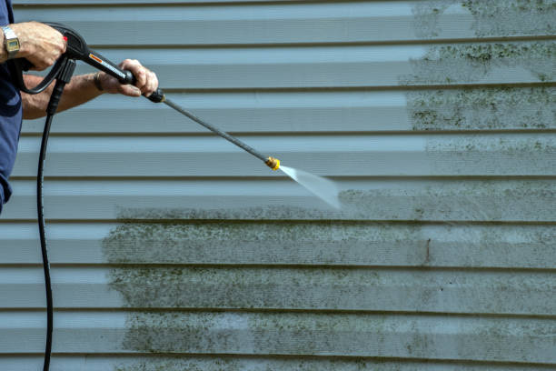 Best Residential Exterior Washing  in Burkesville, KY